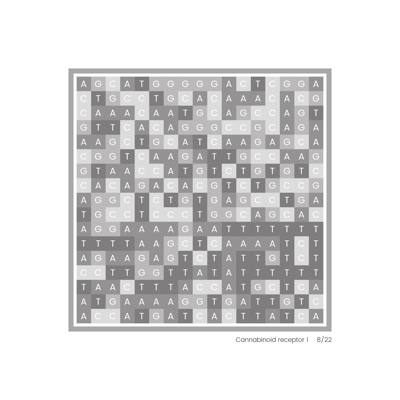 Gene Blocks – Cannabis 08