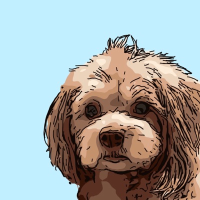 Algo Doggos 7