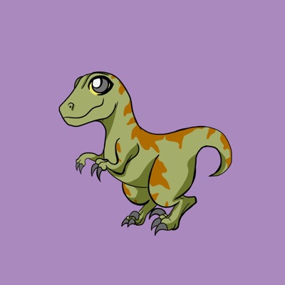 Algoci Raptor 004