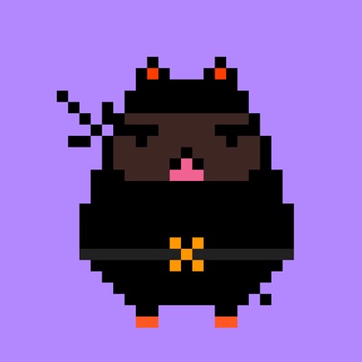 NinjaInu #003