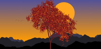 Sunset #005