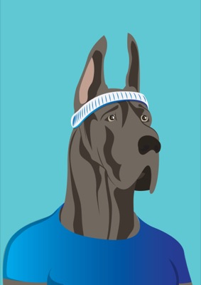 GREAT DANE #3