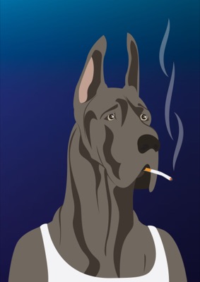 GREAT DANE #4
