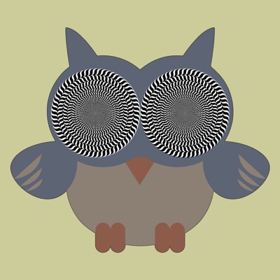 Algowl #1