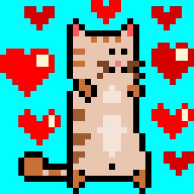 AlgoKitty #6