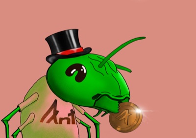 Algo Ant 2