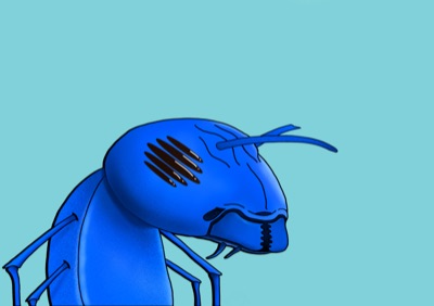 Algo Ant 3