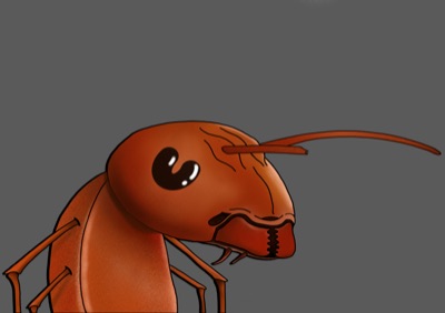 Algo Ant 6