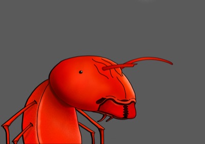 Algo Ant 7
