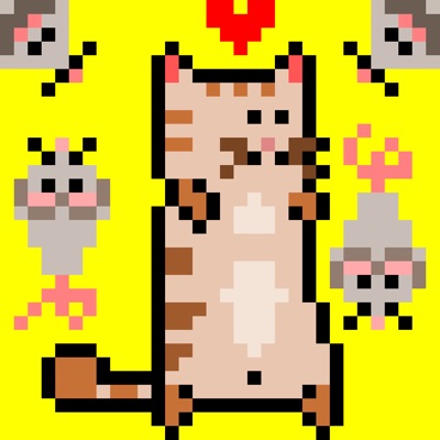 AlgoKitty #8