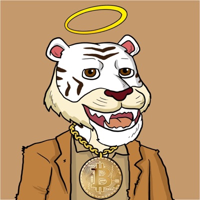 Timid Tiger #001