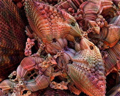 AGATE FRACTAL