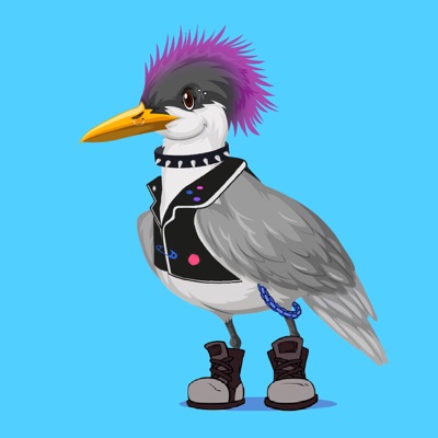 Algo Seagull #2