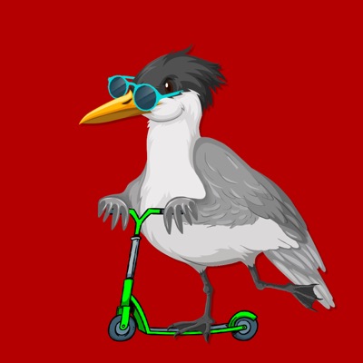 Algo Seagull #3