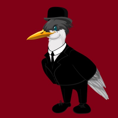 Algo Seagull #5