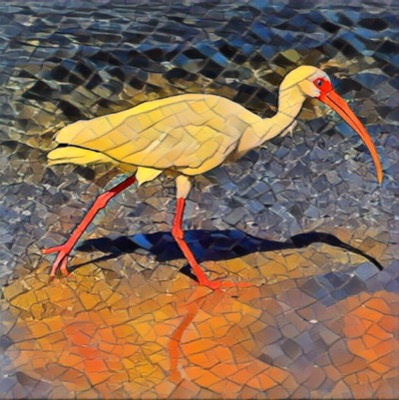 AlgoBeachBird (#2)