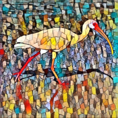 AlgoBeachBird