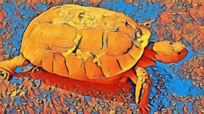 AlgoTurtle
