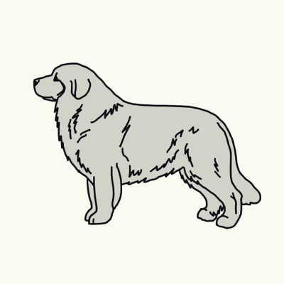 Proud Pyrenees #1