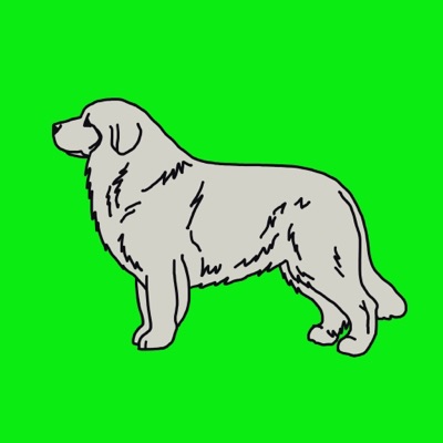 Proud Pyrenees #3
