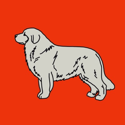 Proud Pyrenees #4