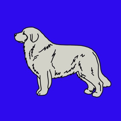 Proud Pyrenees #5