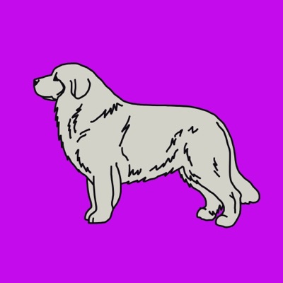Proud Pyrenees #6