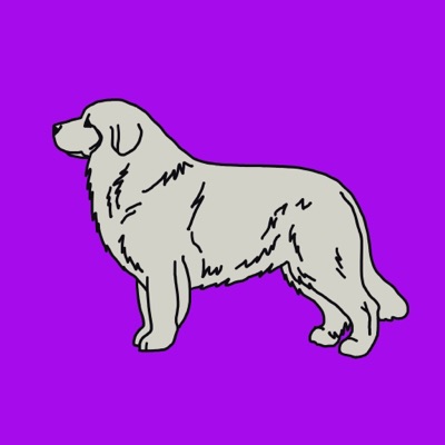 Proud Pyrenees #8