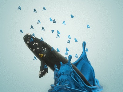 Algo Whales: Northern Edition