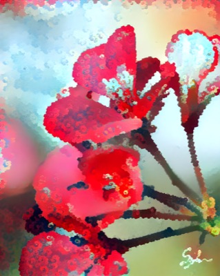 SCPFlower #4