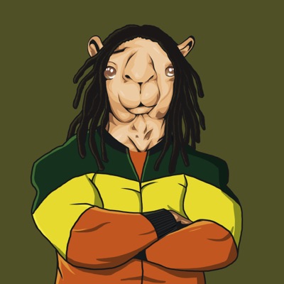 AlgoCamello 005