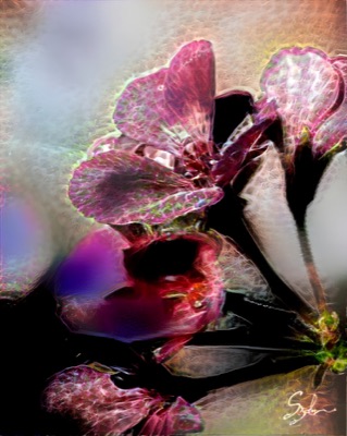 SCPFlower #5