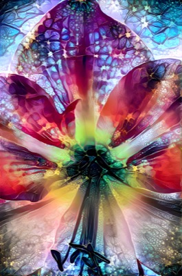 Stargazer #1