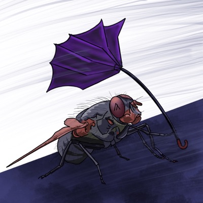 Plotting FLy #3