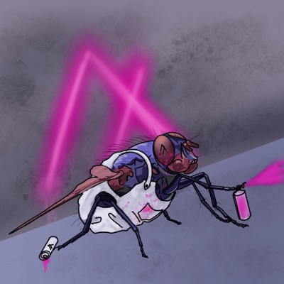 Plotting Fly #4