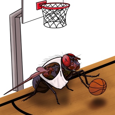Plotting Fly #5