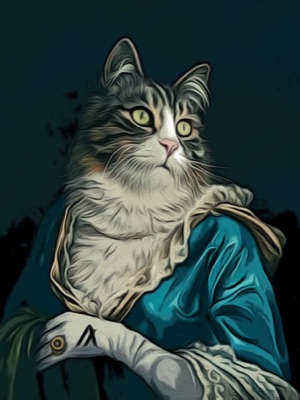 ALGOCRACY CAT #1