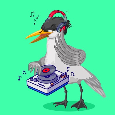 Algo Seagull #6