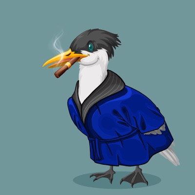 Algo Seagull #7