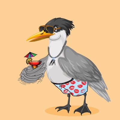 Algo Seagull #8