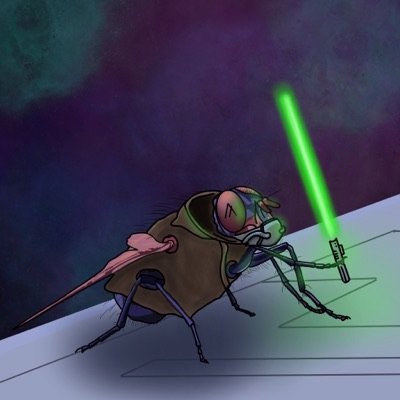 Plotting Fly #7