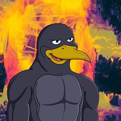penguino 8