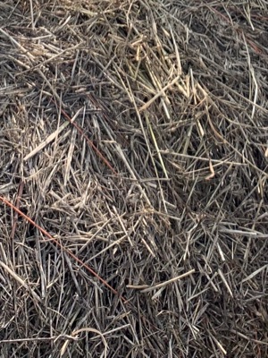 IRL, Material, Hay