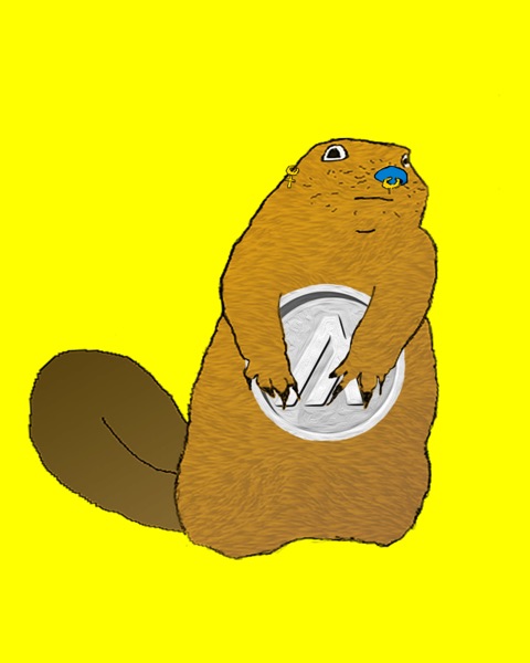 AlgoBeaver #37