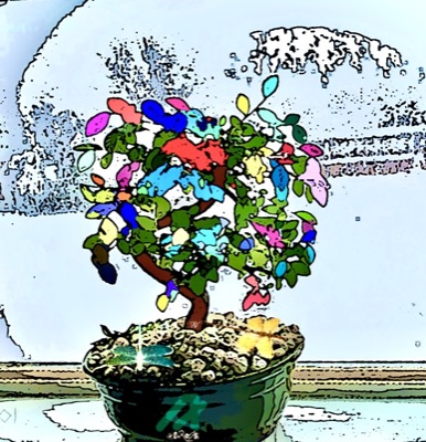 KameHouse TreeFarm: Bansai 01