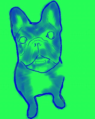 Mac the Frenchie #005