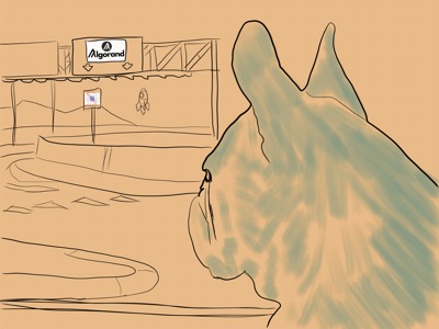 Mac the Frenchie #006