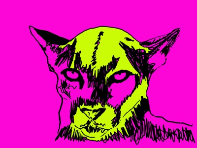Mountain Lion #08