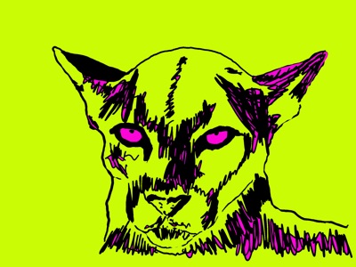 Mountain Lion #09