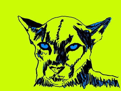 Mountain Lion #10